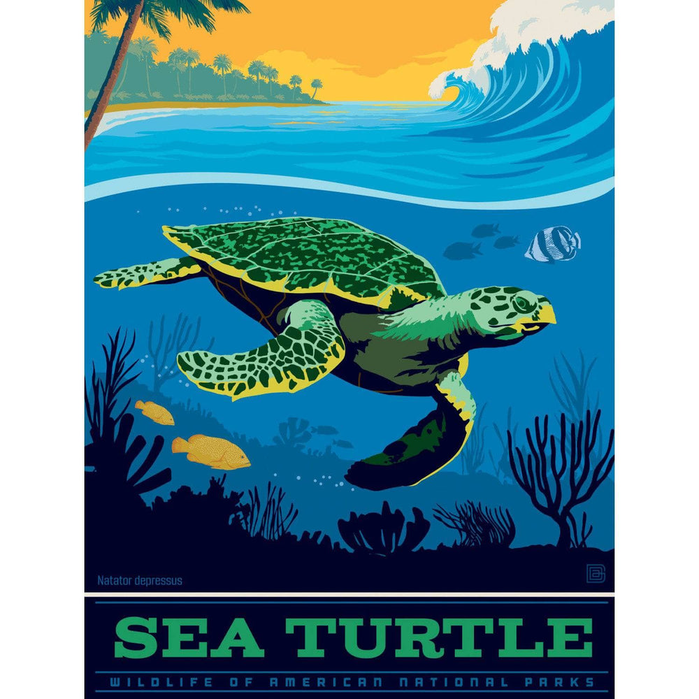 Sea Turtle 300 Piece Jigsaw Puzzle (ONLINE ORDER ONLY)