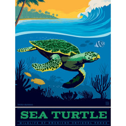 Sea Turtle 300 Piece Jigsaw Puzzle (ONLINE ORDER ONLY)