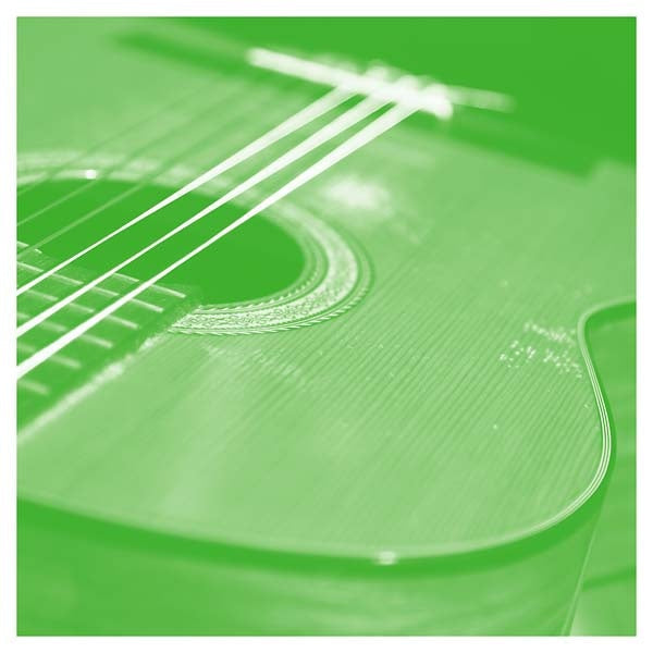 Tashi Dorji - Solo Acoustic Volume Thirteen [Vinyl]