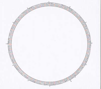 TBA EMPTY - Stupid Rotation [CD] (ONLINE ORDER ONLY)