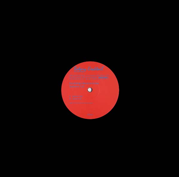 THE ANALOG ROLAND ORCHESTRA - Patterns 5/6 [Vinyl] (ONLINE ORDER ONLY)