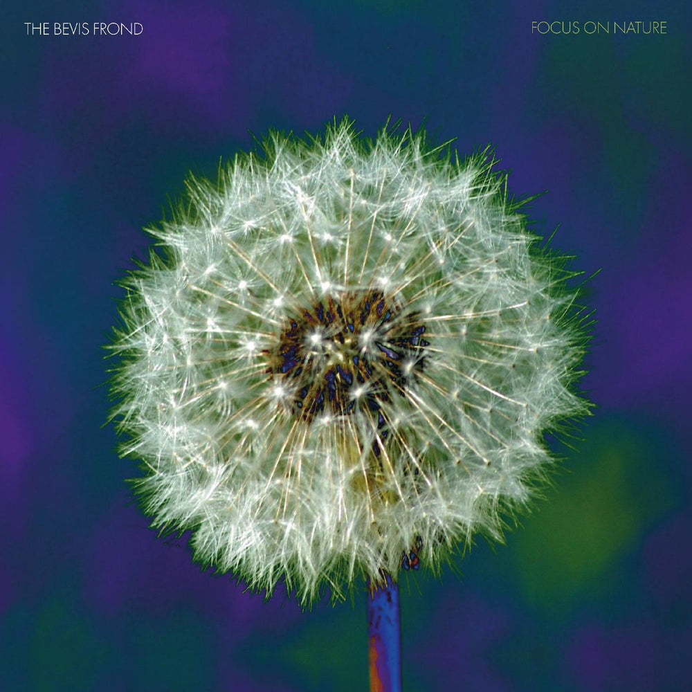 Focus on Nature (PURPLE VINYL) [Vinyl] (ONLINE ORDER ONLY)