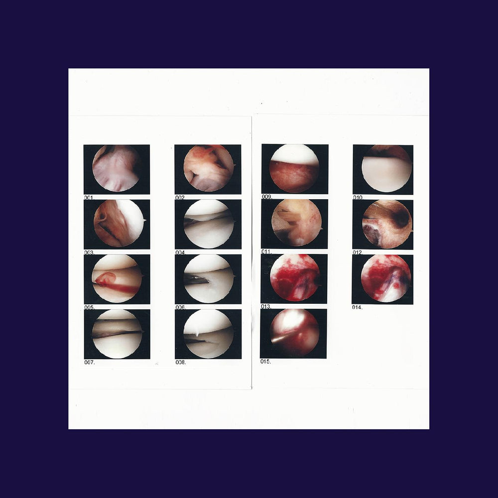 The Cradle - Laughing In My Sleep [CD] (ONLINE ORDER ONLY)