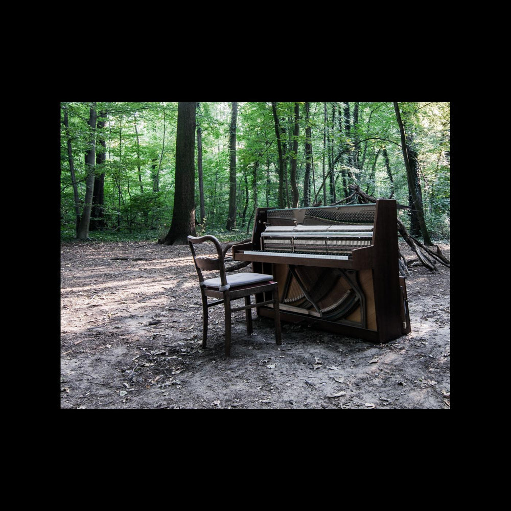 Acoustic II [CD]