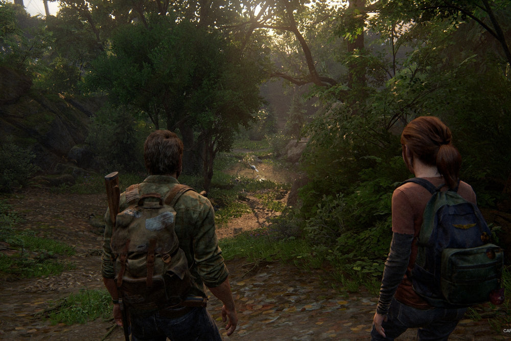 The Last of Us Part I - PC (ONLINE ORDER ONLY)