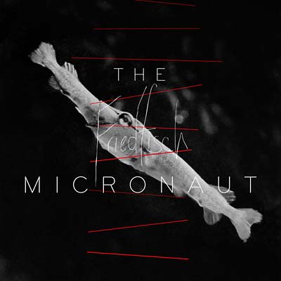 THE MICRONAUT - Friedfisch [CD] (ONLINE ORDER ONLY)