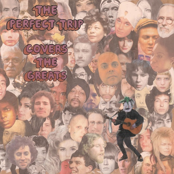 THE PERFECT TRIP - Covers the Greats [CD] (ONLINE ORDER ONLY)