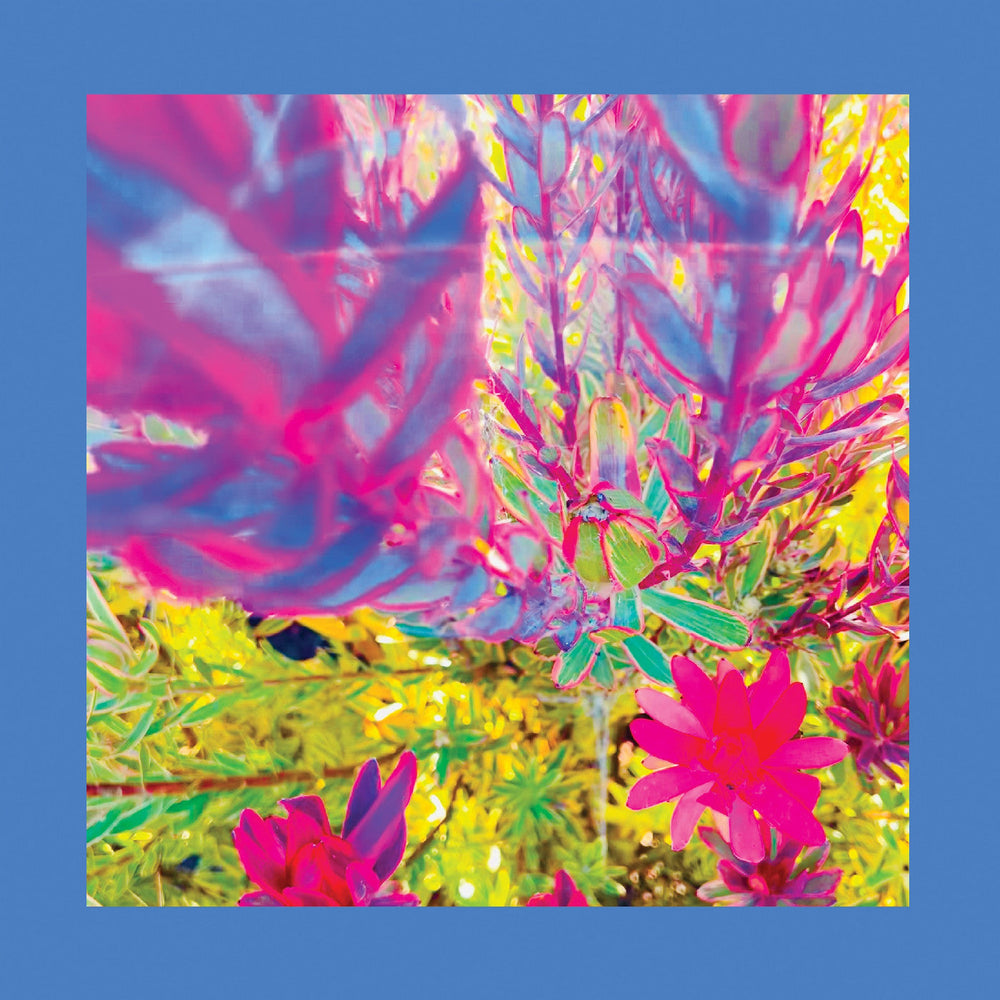 The Past Is A Garden I Never Fed [CD] (ONLINE ORDER ONLY)