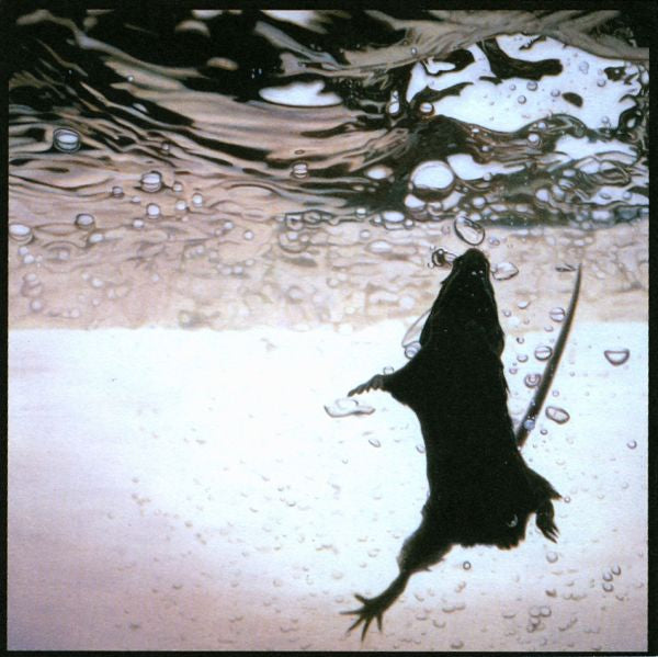 The Standard - Swimmer [CD] (ONLINE ORDER ONLY)