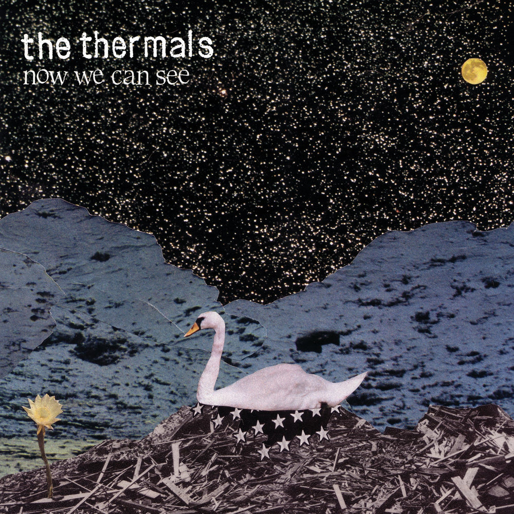 Now We Can See [CD] (ONLINE ORDER ONLY)
