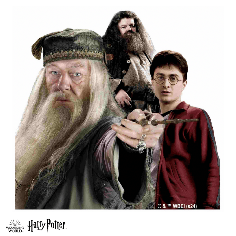 Harry Potter - The Magical Guardians Wooden Jigsaw Puzzle (Online Order Only)