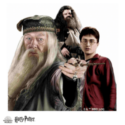 Harry Potter - The Magical Guardians Wooden Jigsaw Puzzle (Online Order Only)