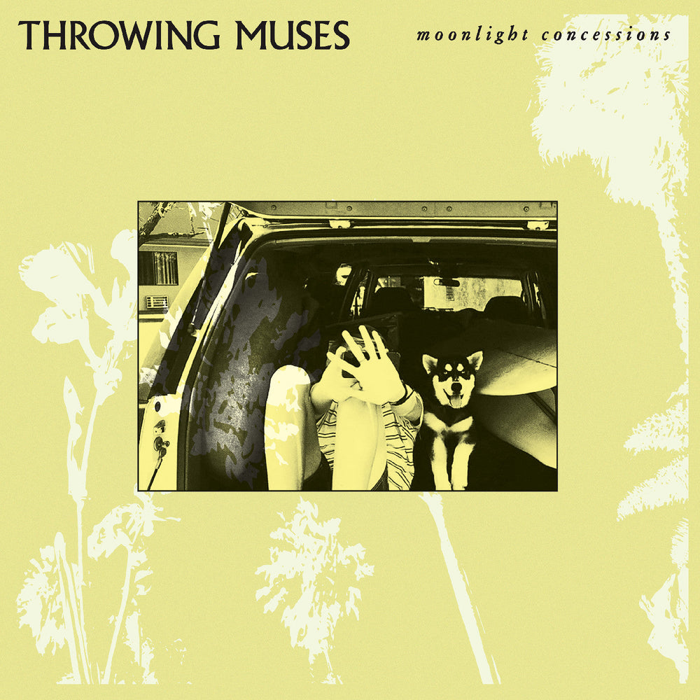 Moonlight Concessions [Vinyl] (ONLINE ORDER ONLY)