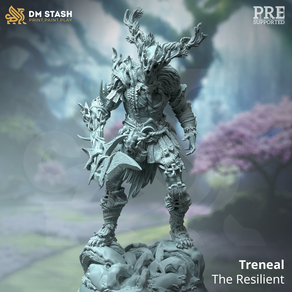 Treneal, the Resilient (Male Human Druid) (Online Order Only)