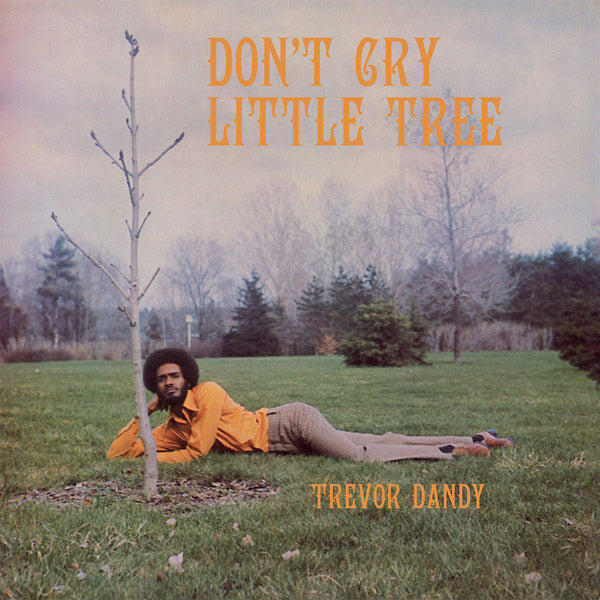 TREVOR DANDY - Don't Cry Little Tree [CD] (ONLINE ORDER ONLY)