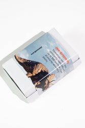 Triceratops Frill Fossil (ONLINE ORDER ONLY)