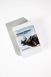 Triceratops Frill Fossil (ONLINE ORDER ONLY)