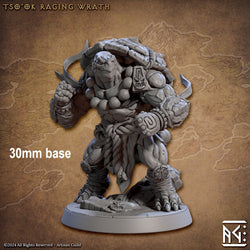 Tso'ok Raging Wrath (Male Turtlekin Monk) (Online Order Only)