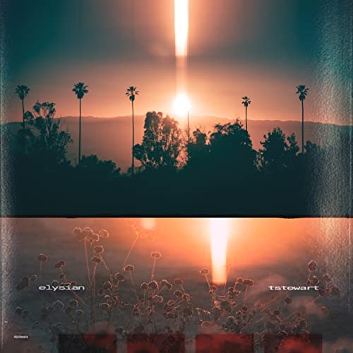 tstewart/Machinedrum - elysian [LP] [Vinyl] (ONLINE ORDER ONLY)