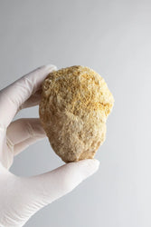 Unbroken Geode (ONLINE ORDER ONLY)