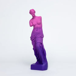 Venus de Milo Resin Statue - Today is Art Day (ONLINE ORDER ONLY)