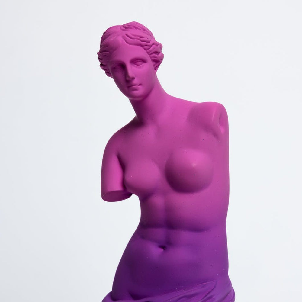 Venus de Milo Resin Statue - Today is Art Day (ONLINE ORDER ONLY)
