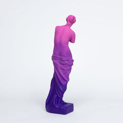Venus de Milo Resin Statue - Today is Art Day (ONLINE ORDER ONLY)