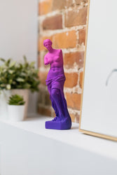 Venus de Milo Resin Statue - Today is Art Day (ONLINE ORDER ONLY)