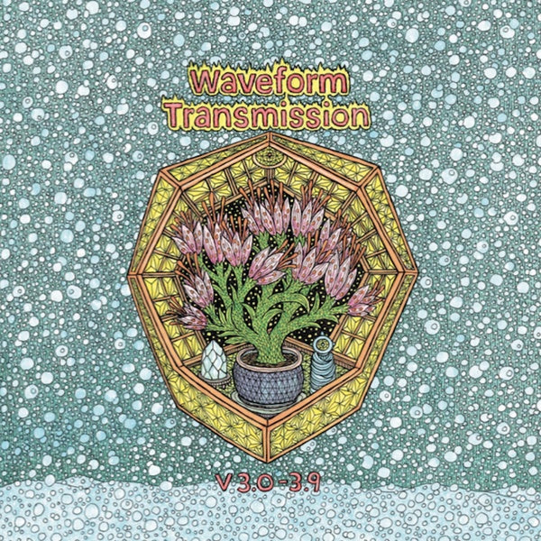 WAVEFORM TRANSMISSION - V 3.0-3.9 [Vinyl]
