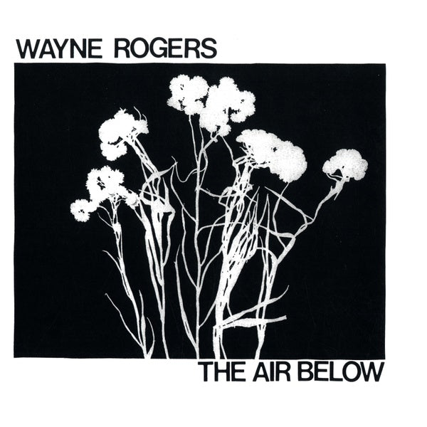 WAYNE ROGERS - The Air Below [Vinyl]