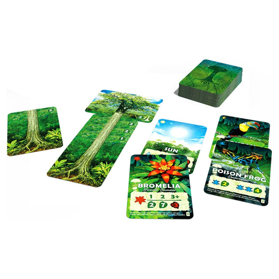 Canopy (ONLINE ORDER ONLY)