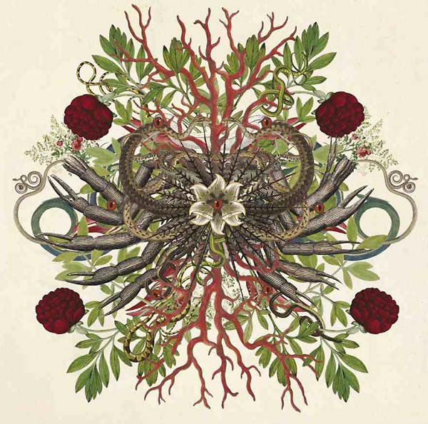 WE WILL FAIL - Verstorung 2.0 [Vinyl] (ONLINE ORDER ONLY)