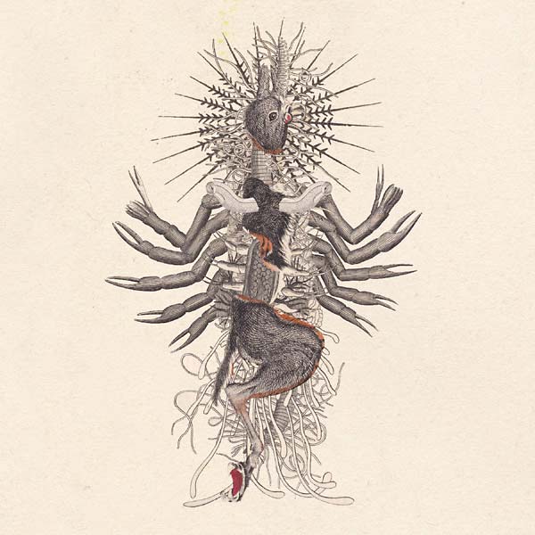 WE WILL FAIL - Verstorung [CD] (ONLINE ORDER ONLY)