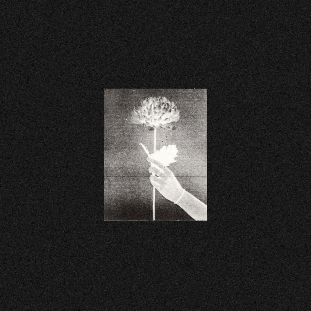 White Flowers - Day By Day (BLUE VINYL) [Vinyl] (ONLINE ORDER ONLY)