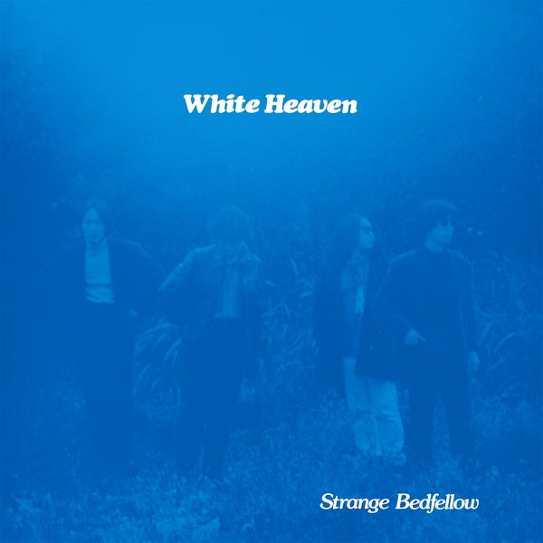 Strange Bedfellow [Vinyl] (ONLINE ORDER ONLY)
