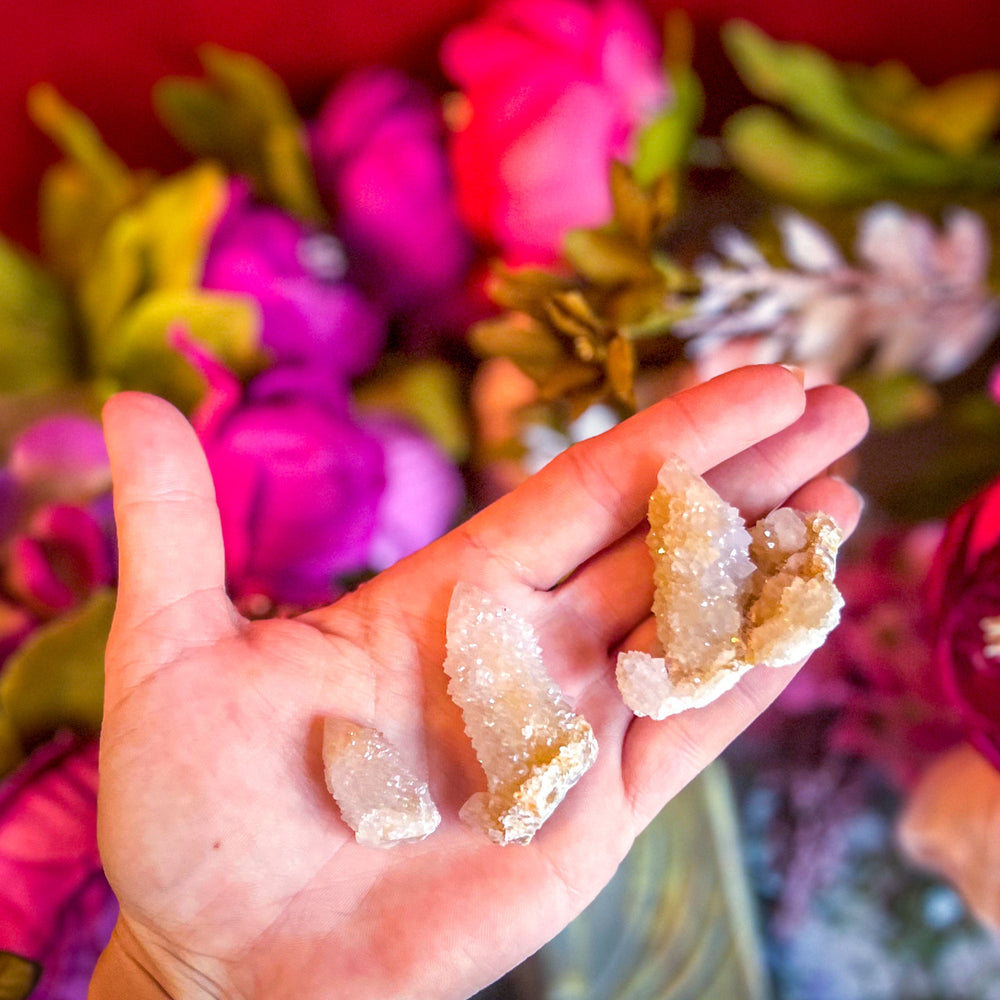 Spirit Quartz Points, Cactus Quartz Clusters, You Choose Size (ONLINE ORDER ONLY)