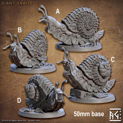 Wild Giant Snail (Online Order Only)