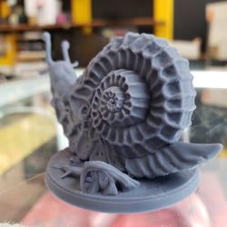 Wild Giant Snail (Online Order Only)