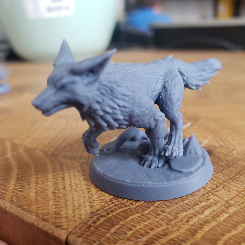 Wild Mystic Foxes (Online Only)