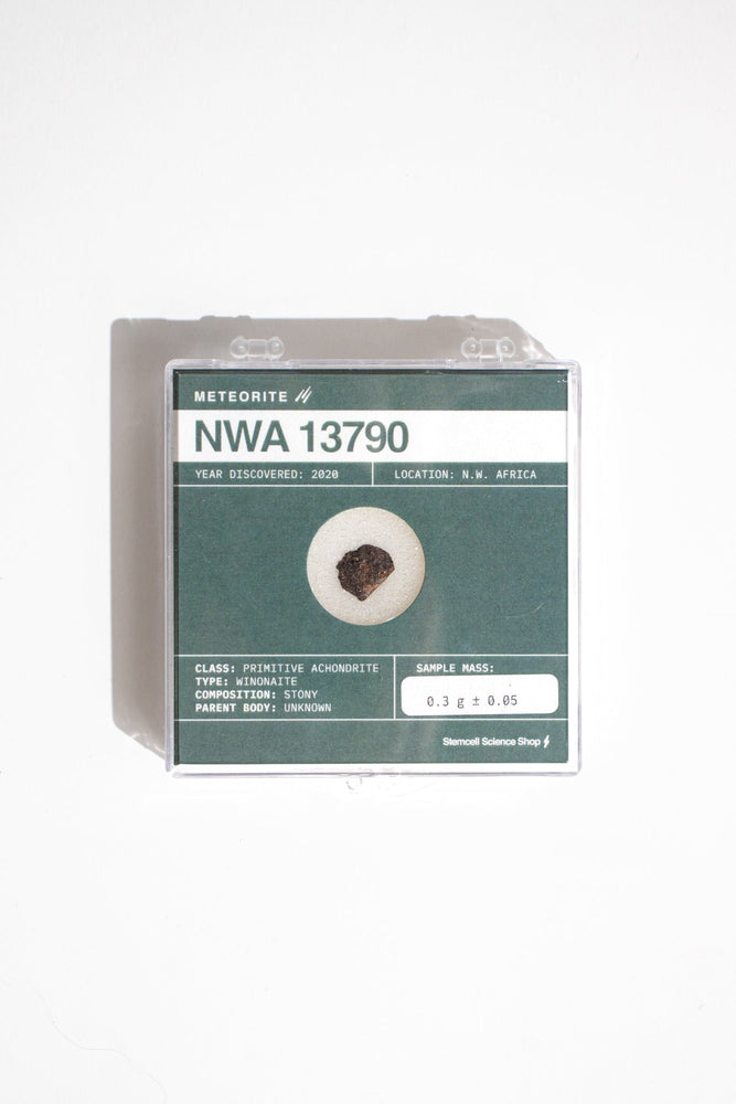 Winonite Meteorite NWA 13790 (ONLINE ORDER ONLY)