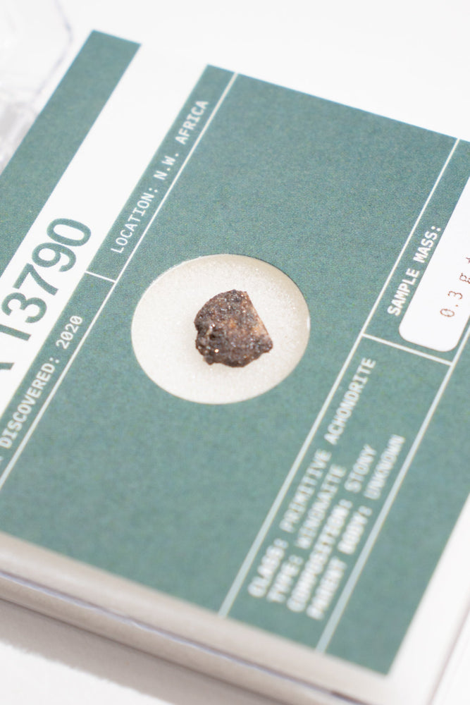 Winonite Meteorite NWA 13790 (ONLINE ORDER ONLY)