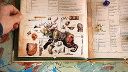 Wondrous Expeditions - Forests (Hardcover) (ONLINE ORDER ONLY)