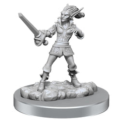 D&D Nolzur's Marvelous Miniatures: Quicklings (Online Order Only)