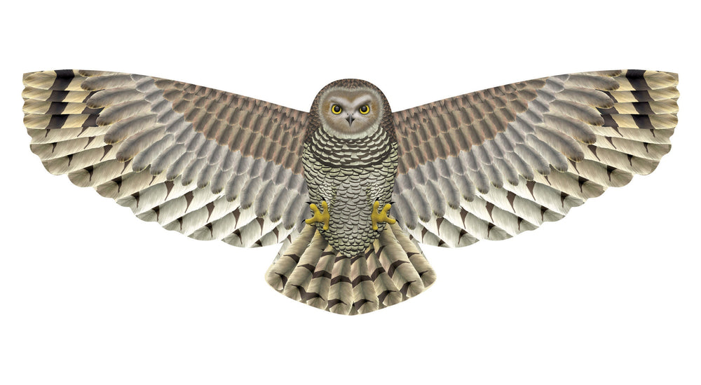 70 Inch Winspan Nylon Hawk Kite (ONLINE ORDER ONLY)
