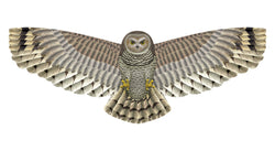 70 Inch Winspan Nylon Hawk Kite (ONLINE ORDER ONLY)