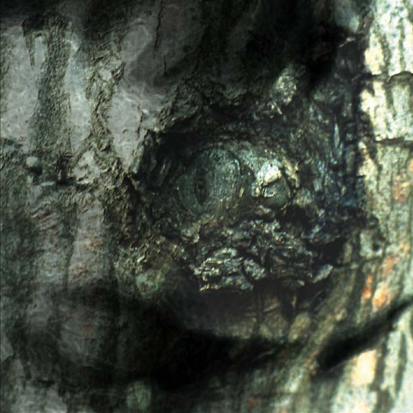 Yann Tiersen - La Valse des Monstres [CD] (ONLINE ORDER ONLY)