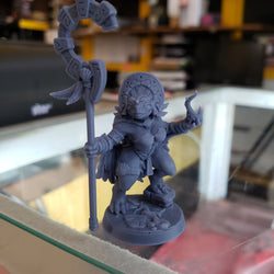 Yatl (Female Turtlekin Cleric) (Online Only)