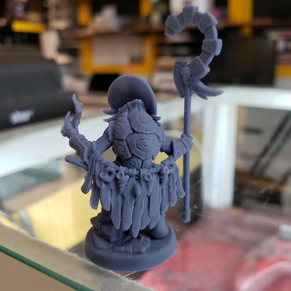 Yatl (Female Turtlekin Cleric) (Online Only)