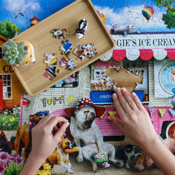 Wild & Whimsical - Iggy's Ice Cream 300 Piece EZ Grip Jigsaw Puzzle (ONLINE ORDER ONLY)