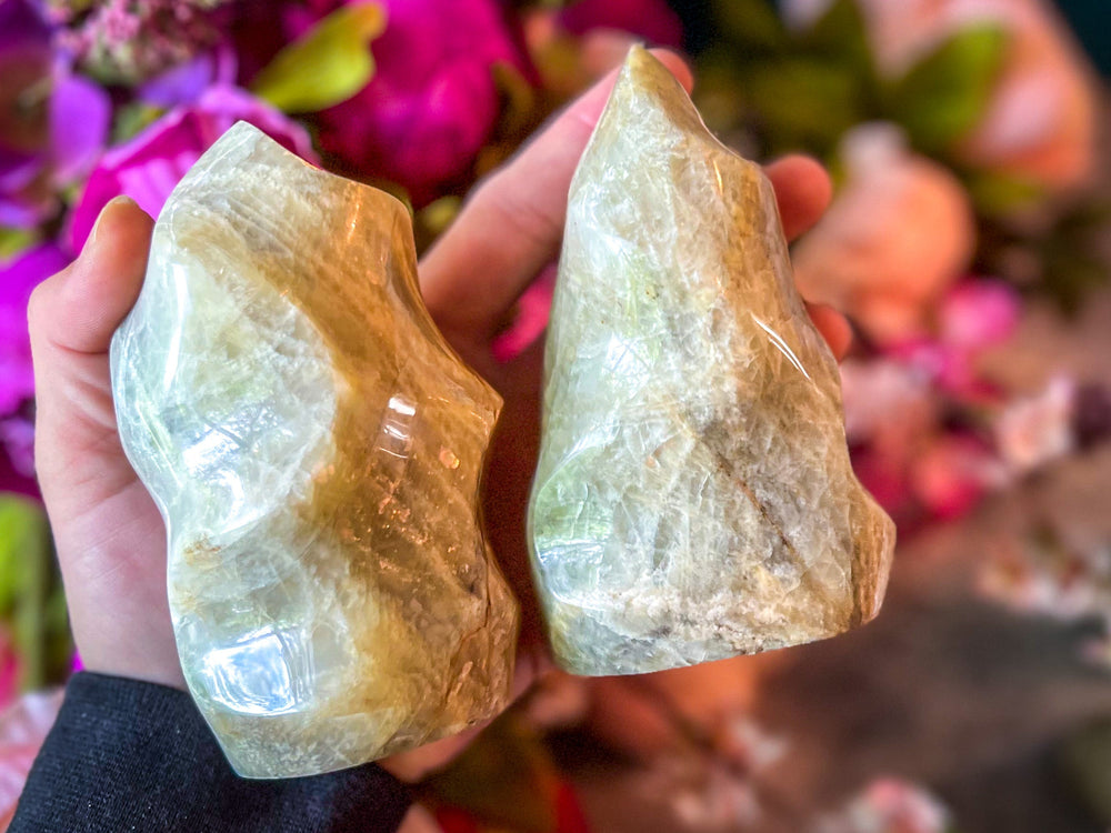 Sweet Yellow Moonstone Flames (ONLINE ORDER ONLY)